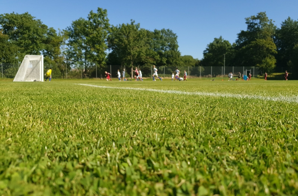 people playing soccer on green grass field during daytime